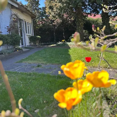 Motel Hyggeligt Vaerelse *